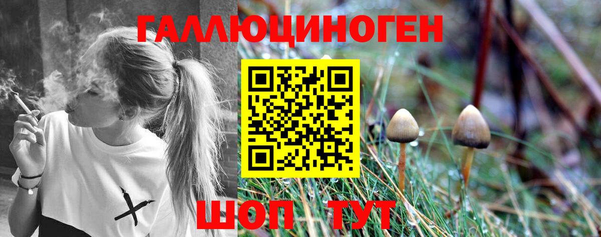Галлюциногенные грибы Magic Shrooms  хочу наркоту  Кашира  Вход с VPN  Псилоцибиновые грибы мицелий 
